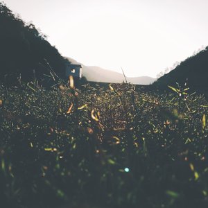 我无法和你较量
