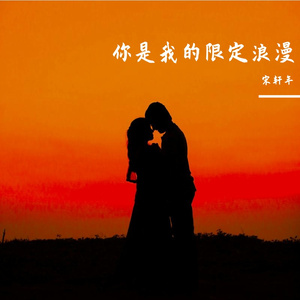 你是我的限定浪漫