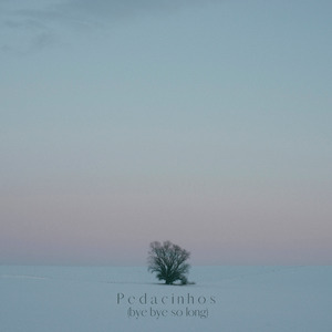 Pedacinhos (Bye Bye So Long) (Cover)