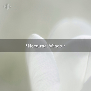 White Noise Low Pass (No Fades)