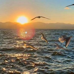 迷失于交错之径