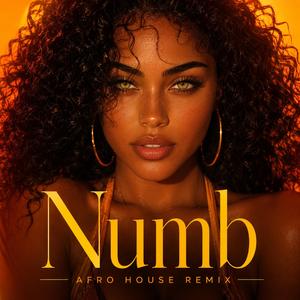 Numb (afro house)