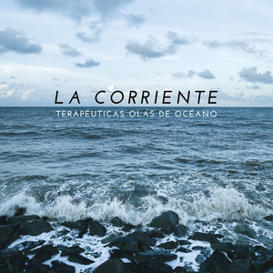 Conservación Oceánica