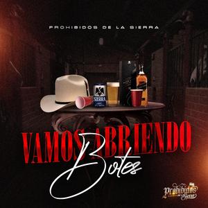 DE SAN VICENTE A TUBARES