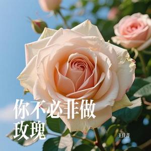 你不必非做玫瑰