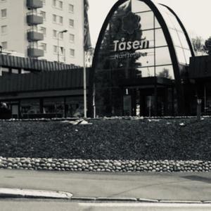 Damplokomotiv (feat. Mægs)