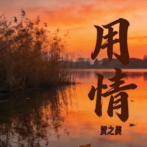 用情