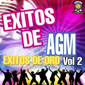 Bella Casualidad Feat. Grupo Anhelo