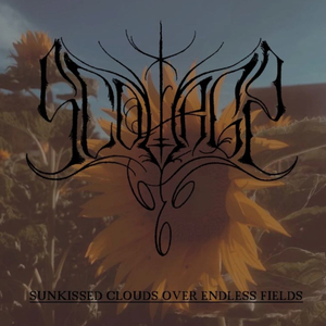 Sunkissed clouds over endless fields (single version)