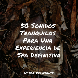Sopa Cuántica