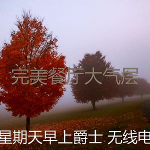 微妙的午餐心情