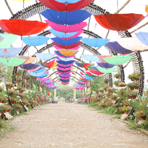 Loi em Ve Voi Va (Original)