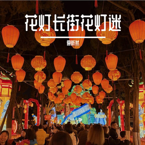 花灯长街花灯迷