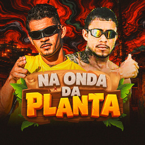 Na Onda da Planta