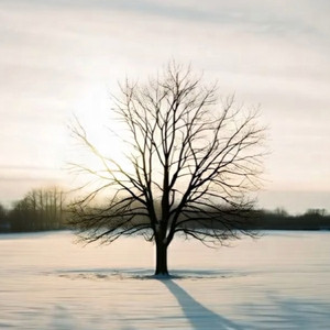 僕が死のうと思ったのは Yuko Cover