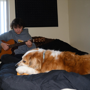 Chips