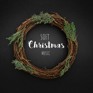 Shake Hands with Santa Claus