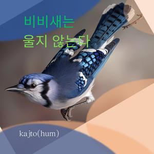 비비새는 울지 않는다