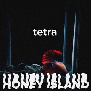 Tetra
