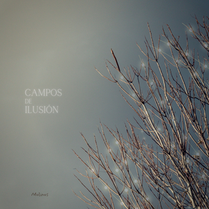 Campos de Ilusión