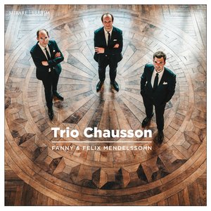 Piano Trio in D Minor, Op. 11: II. Andante espressivo