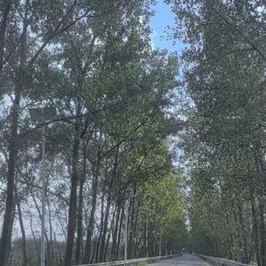 街角的风还在等-高峰