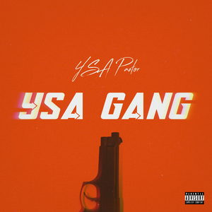 YSA GANG