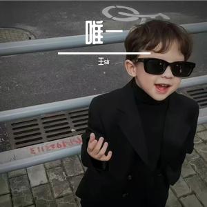 唯一（2024抖音热播）（王sir remix）
