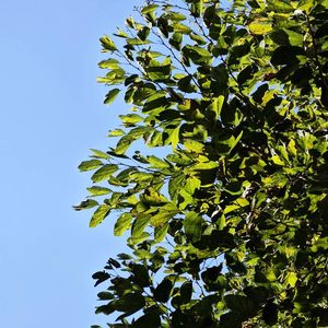 忽然之间（翻唱版）