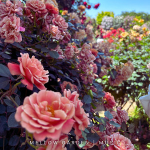 花びらとピアノのワルツ
