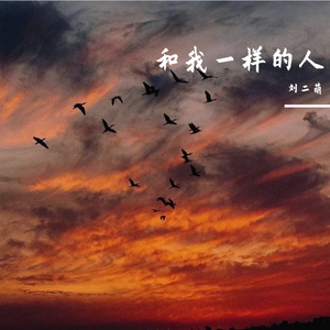 和我一样的人(完整版)