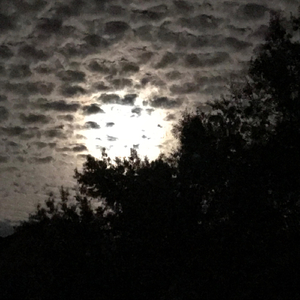 Nightfall