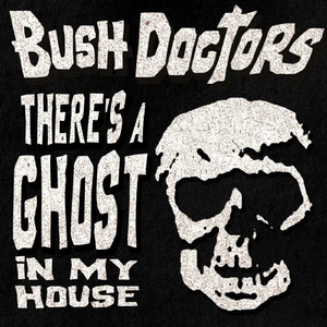 Theres a Ghost In My House (Bush Doctors Bump-In-The-Dub Mix)