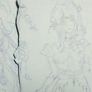 畅游二次元