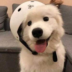 海说浪漫(1)(1).mp3