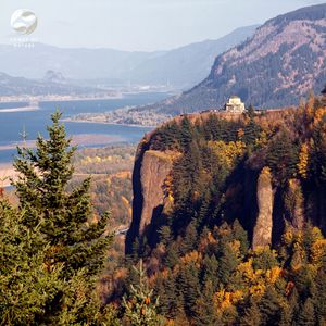 Relaxing Bird Songs by the River