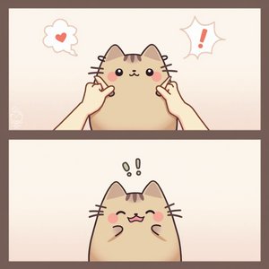 चाँदनी लिली