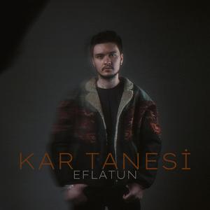 Kar Tanesi