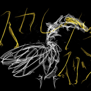 すかしたスワン