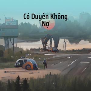 Có Duyên Không Nợ (Remix)