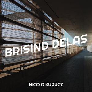 Brisind Delas