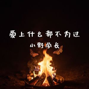 爱上什么都不为过