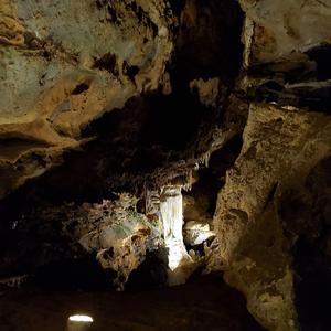 The Regiphage: Part 2...The Triad