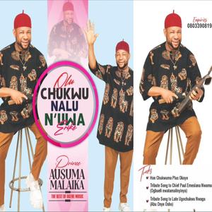 Hon Chukwuma Pius Okoye