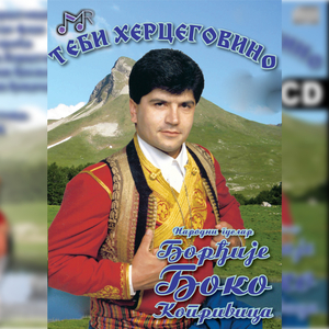 Vojvoda Stojan Kovacevic