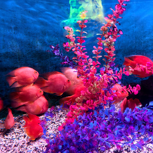 tmp_71f7b0d806a22e1d5bfaf48469fb1a7a