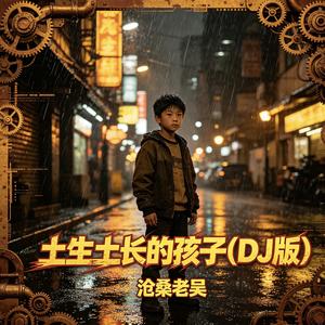 土生土长的孩子(DJ版)