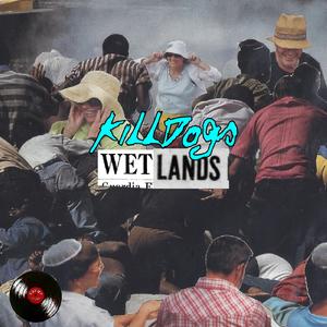 WETLANDS