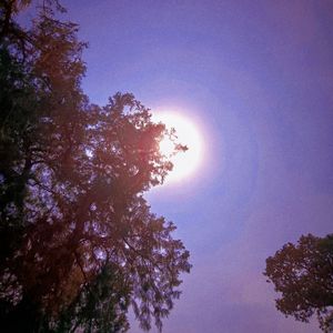 孤独的人（纯音乐）