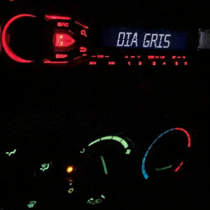 DIA GRIS